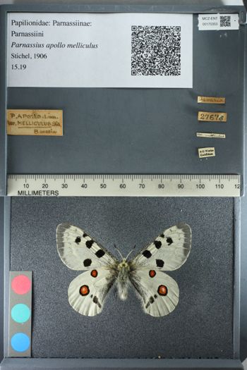 Media type: image;   Entomology 175353